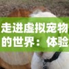 详解弑沙天下飞升任务等级要求：从任务接取到顺利完成，需达到的具体级数和技巧分享