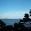 探索水果忍者中文版官网：最新动态、游戏攻略及官方下载一站式信息平台