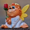 (夏洛特主一)夏洛特的餐桌最新版：探寻美味与创意的完美融合