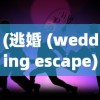 (逃婚 (wedding escape))逃婚逃到异次元：时空交错下的浪漫寻爱与身份探索之旅