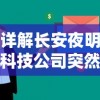 详解长安夜明科技公司突然停止研发背后的真相：商业竞争压力与科研投入不足引发独角兽之殇