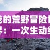 探秘三国萌将传游戏最强阵容：如何利用战略布阵秀翻全场，领略虚实之间的智谋之战