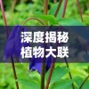 (斗剑仙开服时间)深入分析斗剑仙各职业特色，找寻最符合你游戏风格的理想选择