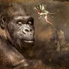 (魔兽世界所有小宠物)探寻魔兽世界中的75个小宠物，如何获得它们的方法详解
