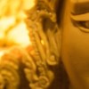 (雄兵连最高神)雄兵连的神体等级划分：揭示天赋异禀者的非凡特质与力量差异