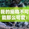 (无尽洪荒攻略)探索无尽洪荒游戏充值档位，赋予玩家无限可能的全面解析