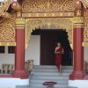 深度解析'一介散修'的含义：探究中国古代修道文化中身份地位的象征与成长历程