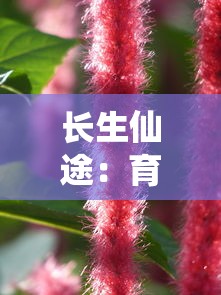 山海经方舟生存进化：揭秘古代神话与现代科学的跨界碰撞，体验生存技能与生物进化的奇妙旅程