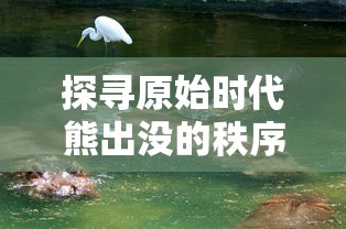 探寻原始时代熊出没的秩序：以生态环境变迁角度解析熊类动物的生活习性与生存挑战