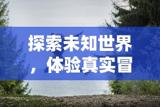 探索未知世界，体验真实冒险——《nds迷失蔚蓝2》的游戏魅力与玩家体验深度解析