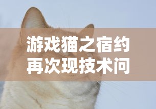 游戏猫之宿约再次现技术问题，玩家疑惑：猫之宿约者停服了吗？