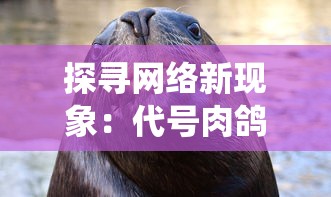 探讨欢乐三国杀与三国杀游戏机制区别：从角色系统设计透露出的唯一性与战略性