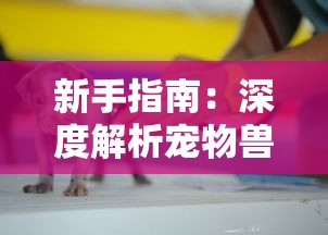 上古之战：新手进阶必看！全方位解析上古王冠攻略及实用技巧，助你快速蜕变为战场上的主宰者