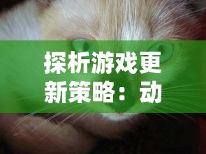 探析游戏更新策略：动物王者为何需要定期更新及如何进行平滑升级