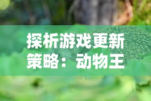 探析游戏更新策略：动物王者为何需要定期更新及如何进行平滑升级