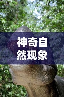 宋凯在结束对荷兰、英国的考察访问后，成功抵达厦门，将就互联网企业创新发展进行深入交流