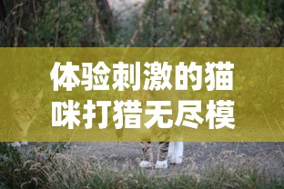 体验刺激的猫咪打猎无尽模式：揭秘如何运用无限金币获得最佳打猎成果