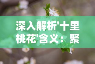 深入解析'十里桃花'含义：聚焦东方美学与中国古典诗词间的浪漫情感表达