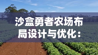 沙盒勇者农场布局设计与优化：农场技巧指南与生产效率提升策略详解