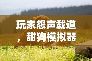 神奇戒指小强3：揭秘新角色神秘力量，令人惊艳的冒险旅程再度展开