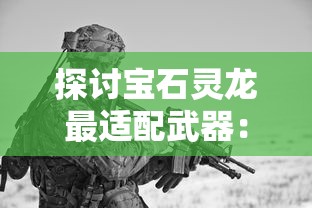 探讨宝石灵龙最适配武器：如何根据战斗环境和敌人属性选择装备