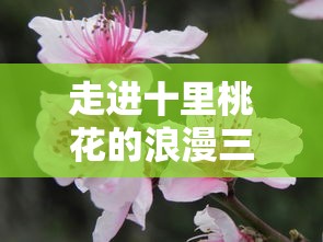 (梦幻蛋糕店 攻略)探秘梦幻蛋糕店的攻略秘籍：打开你的美味之旅！