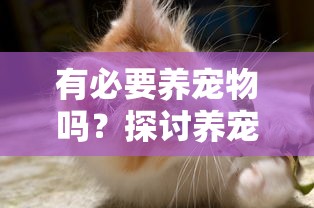 有必要养宠物吗？探讨养宠物对于提高生活品质和培养责任感的重要性