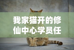 我家猫开的修仙中心学员任务：详解各级学员修炼历程中的挑战与收获