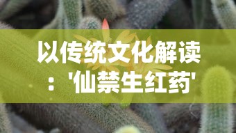 以传统文化解读：'仙禁生红药'中隐藏的生肖玄机——以古代诗词为线索探寻中国古老传统生肖文化的奥秘