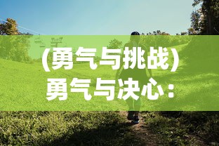 (勇气与挑战)勇气与决心：在冒险旅途中寻求自我，勇士与旅途的另一种解读