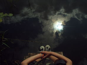 (哪个平台的夜莺模组值得开发和挖掘呢)哪个平台的夜莺模组值得开发和挖掘？