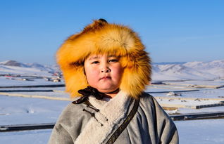 探索少年之心，描绘生活诗意——以'少年歌行风花雪月篇'解析中国古代文人志士的人生观与价值取向