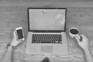 探索阴阳师事务所的神秘职能与背后的妖怪故事,揭开平安时代的奇幻面纱 探索阴阳师事务所的神秘职能与背后的妖怪故事,揭开平安时代的奇幻面纱