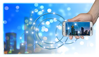 新澳门精准正版免费资料|多元化方案执行策略_XP款.6.281