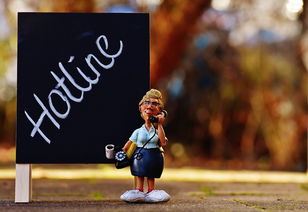 每天都能享受的天天萌萌消：让你在休闲时光中畅享可爱消除乐趣！