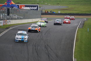 修仙之路漫长日更三千薇，无酒可抚寂寥心灵，修行不歇梦逐仙踪。