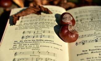 (一笠一蓑一钓钩诗)一蓑一笠一江湖手游兑换码，畅游江湖，尽享特权福利