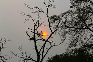 西游笔绘西行"公测上线时间公布:经典的西游记重新演绎,尽展游戏化视觉艺术风格 西游笔绘西行"公测上线时间公布:经典的西游记重新演绎,尽展游戏化视觉艺术风格