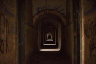 (yoga14s2021有独显版本吗)Yoga14s到底需不需要购买配备独立显卡的版本呢? (yoga14s2021有独显版本吗)Yoga14s到底需不需要购买配备独立显卡的版本呢?