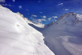 (coldsnow 冷雪)探秘神秘冰雪之地的极度深寒下，冷狐攻略必备技巧和心得分享