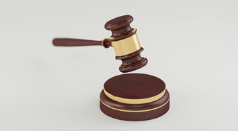 (法律裁决原则)深入探讨裁决的含义：法律与道德层面的多维解读与实践影响