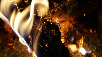 (人皇的真正意思)什么是人皇幡的梗?来看看这个神奇的网络热梗是如何走红的! (人皇的真正意思)什么是人皇幡的梗?来看看这个神奇的网络热梗是如何走红的!