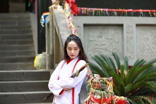 (江山烽火连城手游)游戏中的历史课 - "江山烽火连城"游戏带你了解古代战争策略。