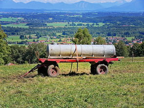 (武之影魅在线玩)武之影魅之王者之战：绝世英雄的荣耀与荆棘之路