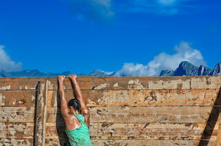 (猫苏鲁规则)探秘喵苏鲁侦探：在Taptap上体验奇妙的侦探猫咪冒险之旅