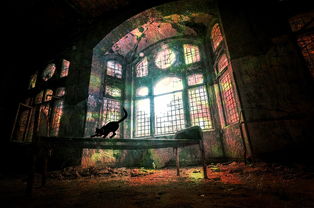 (帕斯卡契约 流程攻略)帕斯卡契约攻略：详细解读攻略，助您顺利通关帕斯卡契约游戏