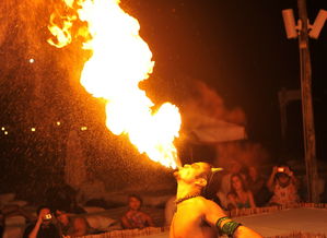 云上大陆诈骗最新进展：网络犯罪猖獗，警方打击取得突破性进展