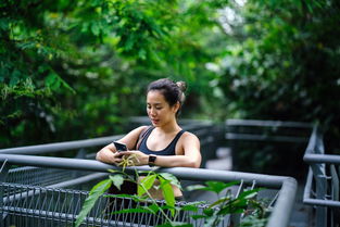 (一笑江湖鼓谱)乐坛新宠:《一笑江湖 (DJ弹鼓版)》引领舞曲风潮 (一笑江湖鼓谱)乐坛新宠:《一笑江湖 (DJ弹鼓版)》引领舞曲风潮