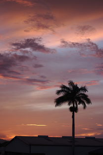 (百鬼夜行生人回避是什么歌)陈述“百鬼夜行生人避让”现象下,生人如何避开这些妖魔。 (百鬼夜行生人回避是什么歌)陈述“百鬼夜行生人避让”现象下,生人如何避开这些妖魔。