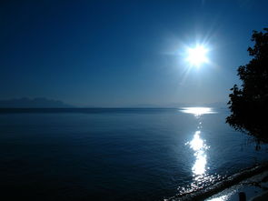 神都降魔卡牌手游：如何利用策略结合角色卡片优势大幅提升胜率？